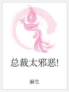 總裁太邪惡！